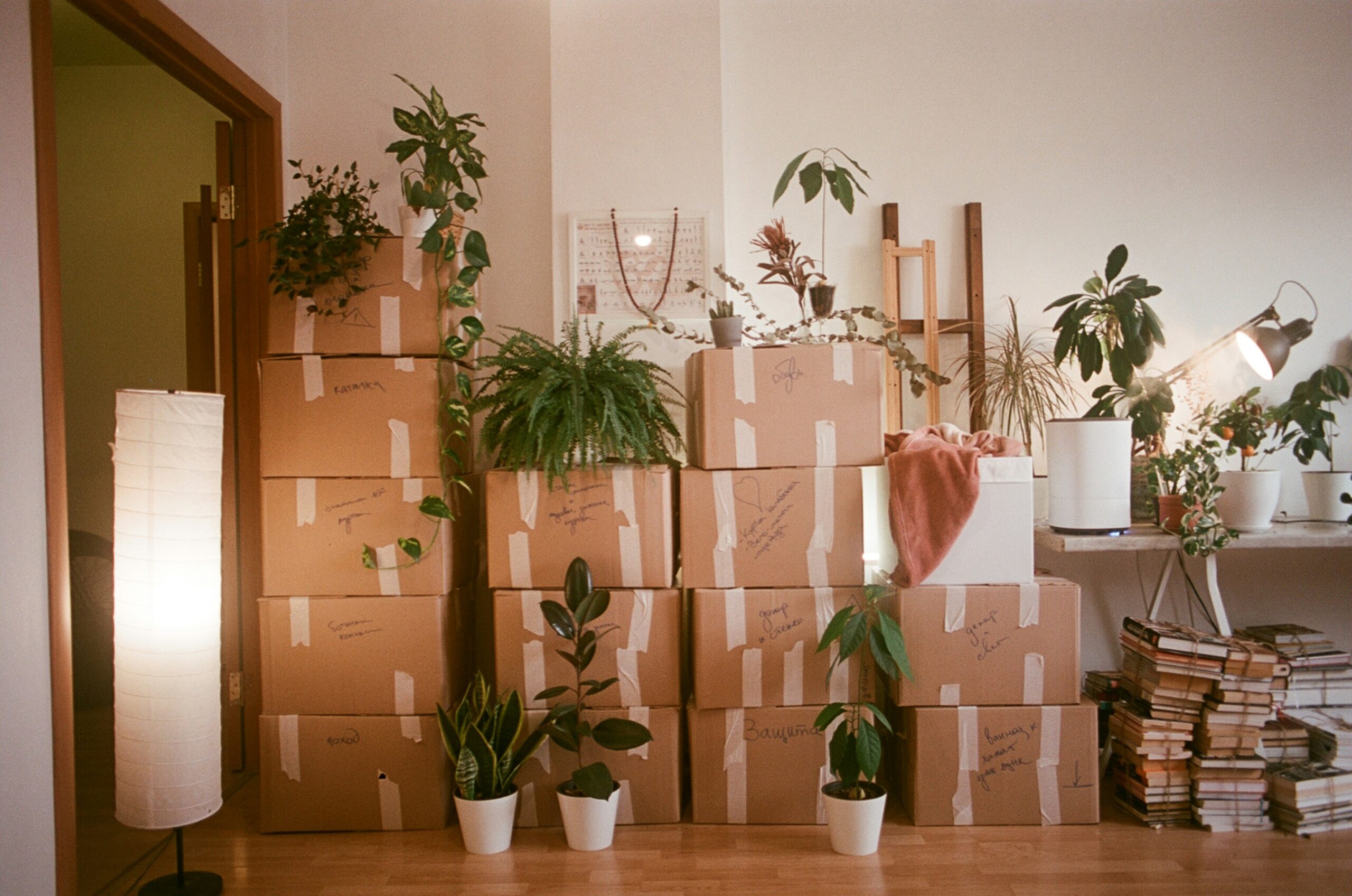 Are Free Moving Boxes Really Free? The Real Cost for Roanoke Movers